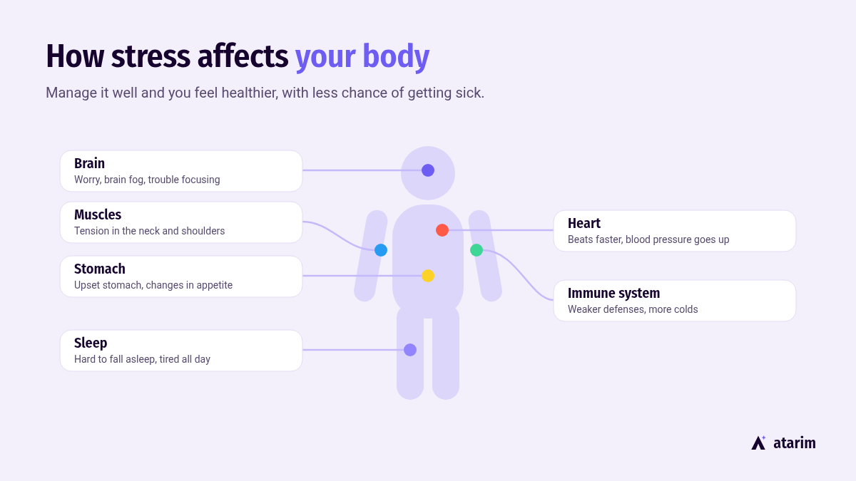 how stress affects the body